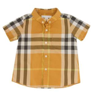 IMG_9046 Рубашка Burberry
