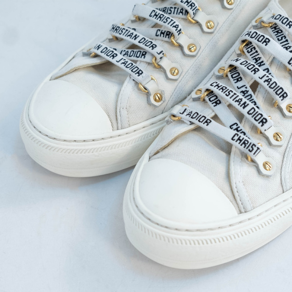 3DSCF9387 Кеды Dior