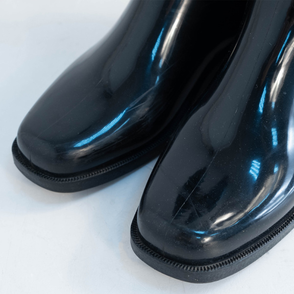 3DSCF8335 Сапоги Celine