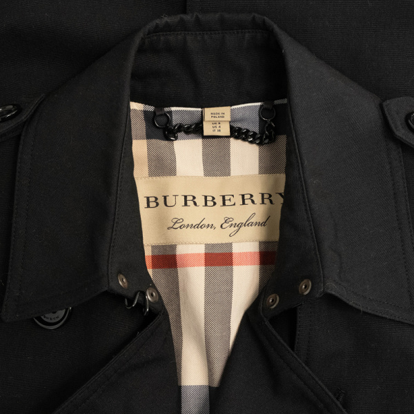 3DSCF2053 Плащ Burberry