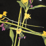 Свитшот Off White Свитшот Off White