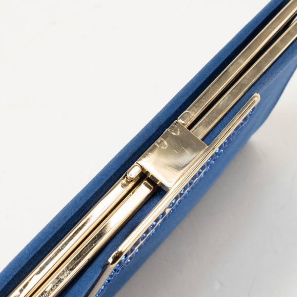 5DSCF8974 Клатч Roger Vivier