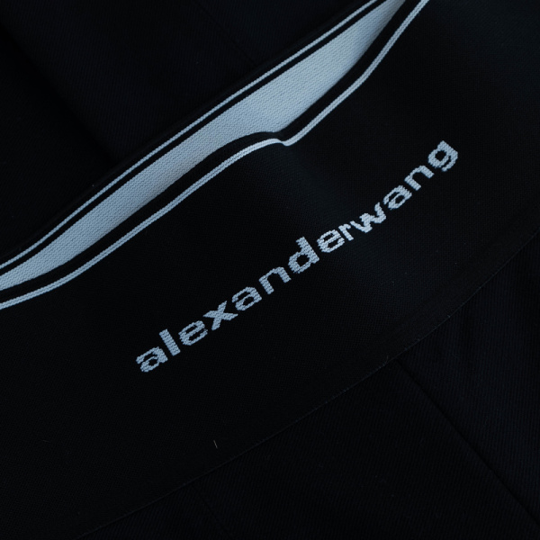 3DSCF8687 Брюки Alexander Wang