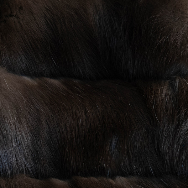 5DSCF8719 Пальто