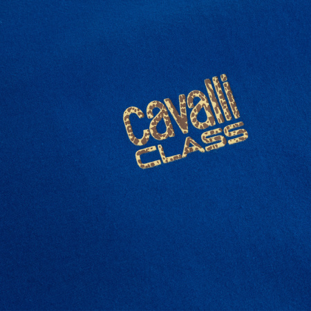Футболка Cavalli Class