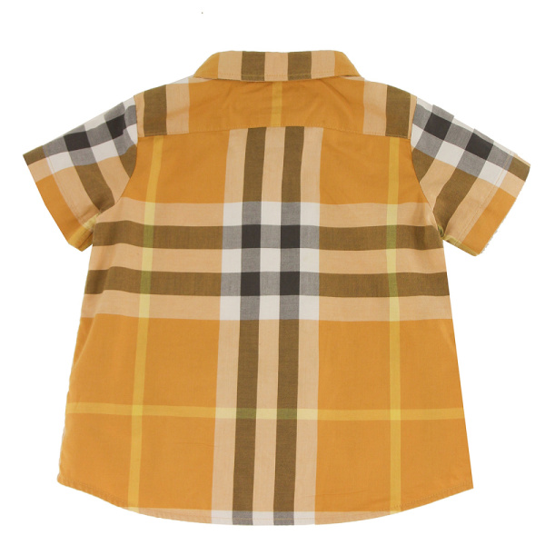 IMG_9052 Рубашка Burberry