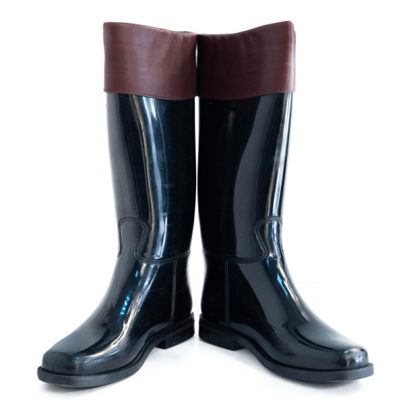 4DSCF8336 Сапоги Celine